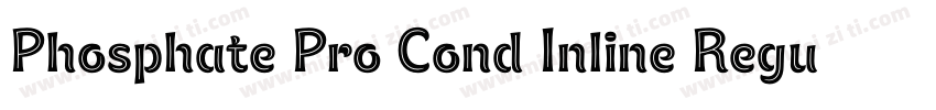 Phosphate Pro Cond Inline Regular Unde字体转换